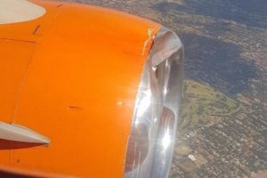 Boeing 737 damaged bird strike